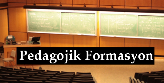 Hangi Alanlarda ve Neye Göre Açılıyor?